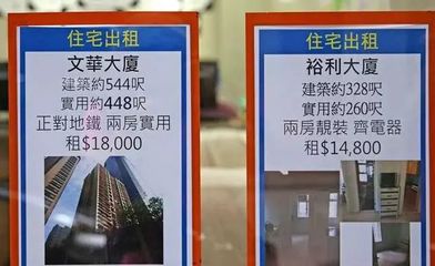 未曾見過香港人居，方知尋常生活貴