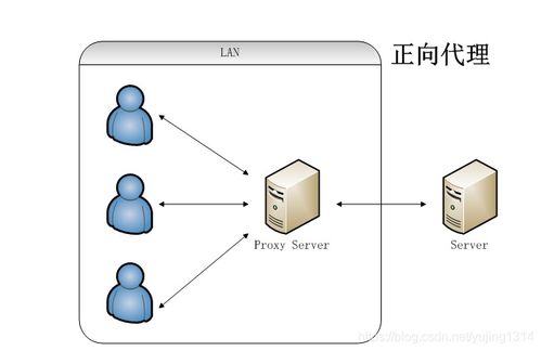 從Nginx代理技術看文化場館管理服務的現代化架構